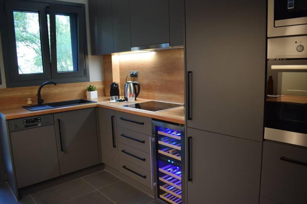 Ockto Luxurious Business Travel Apartment เอเธนส์ ภายนอก รูปภาพ
